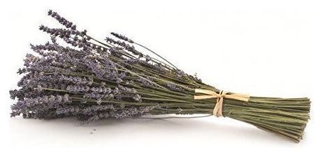 Gebundener Strauß getrockneter Lavendelblüten